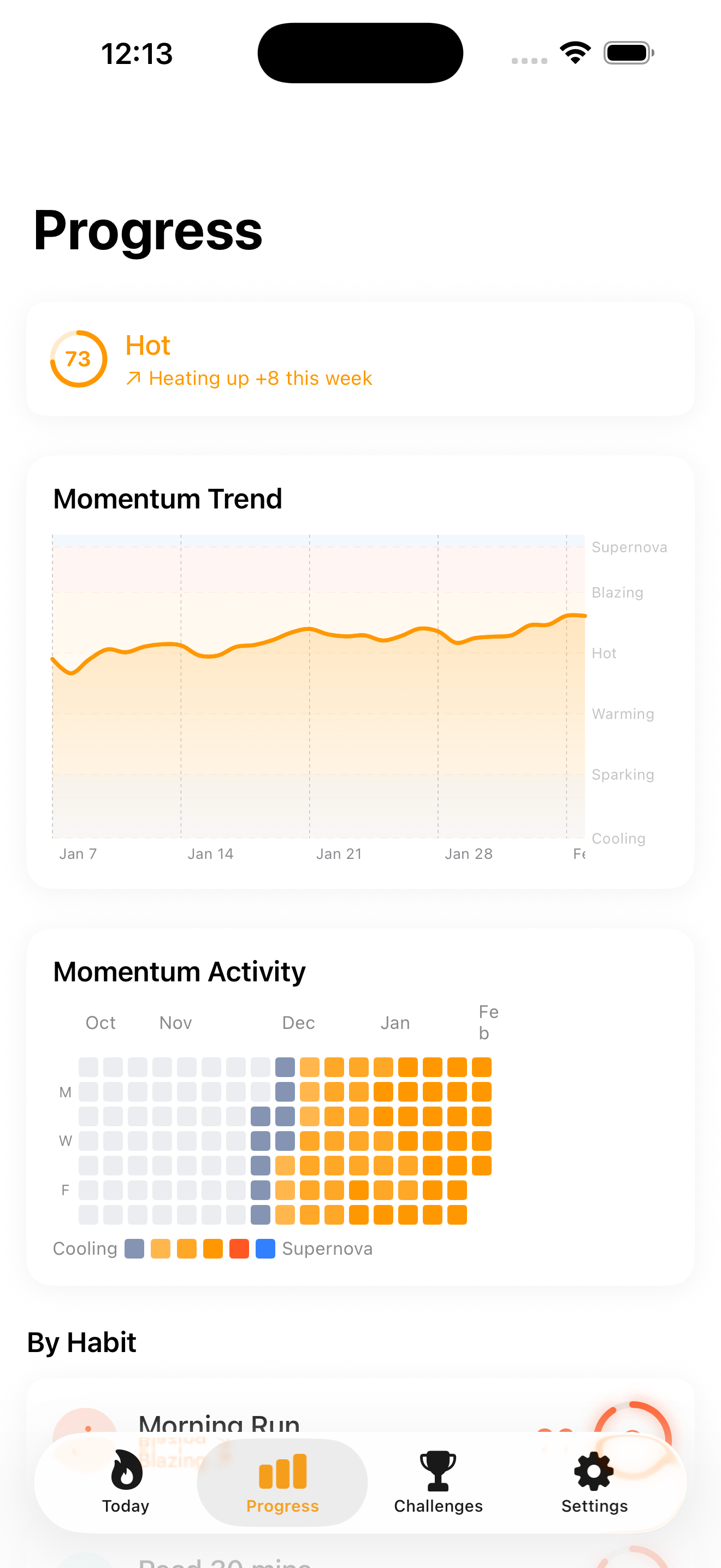 Progress analytics with charts and contribution grid